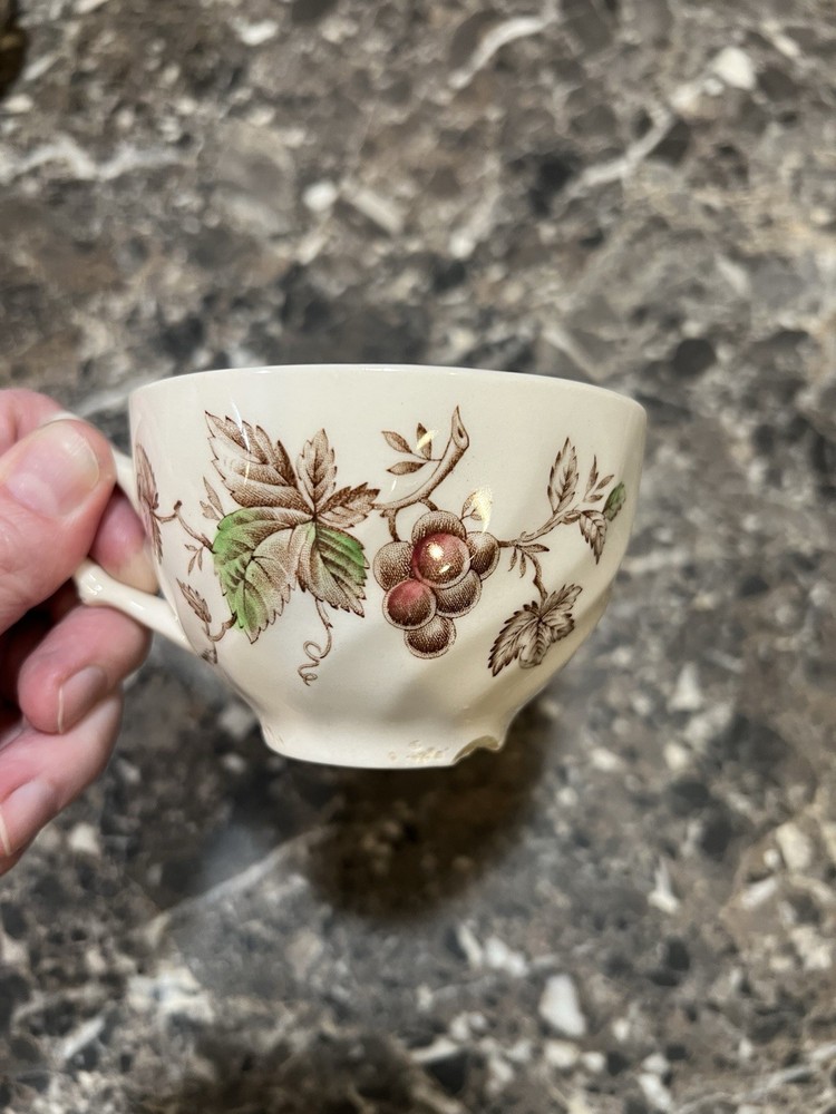 Johnson Bros Harvest Time Vintage Ceramic Dinner Set Fruit Pattern England
