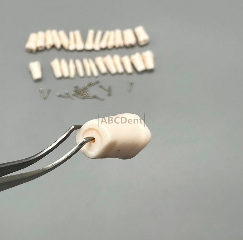 28pcs Dental Teeth Model Technician Practice Preparation Removable Tooth Nissin