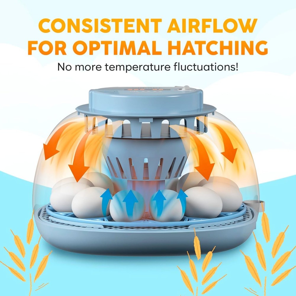 12-Egg Incubator with Automatic Turning & Humidity Control for Hatching Success