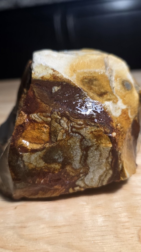 Owyhee Picture Jasper