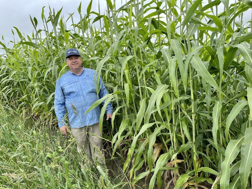 Eagle Seed Forage Fence® Screening Blend | Deer Food Plot Seed