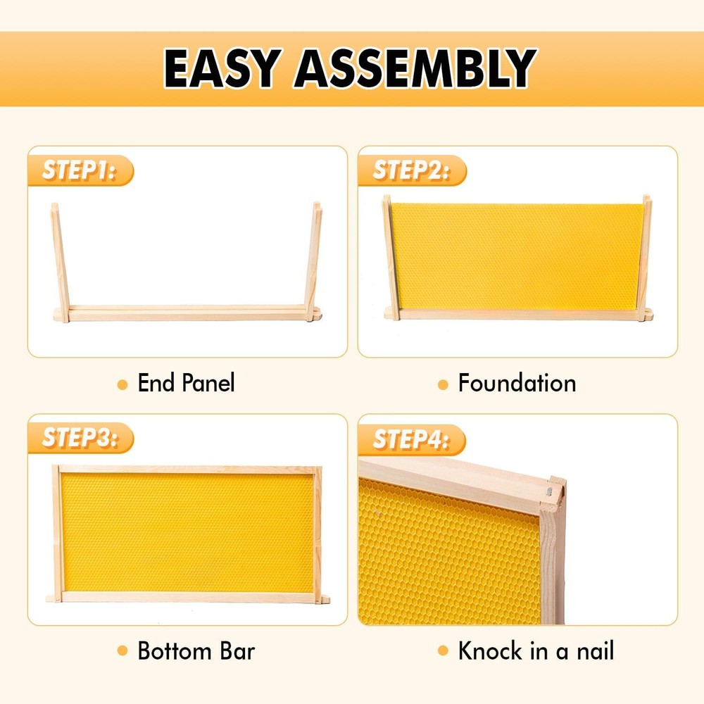 POLLIBEE Deep Brood Bee Hive Frames and Wax Foundations,10 Pack Honey Bee Frames