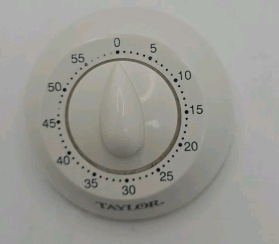 Taylor Plastic Timer WORKING