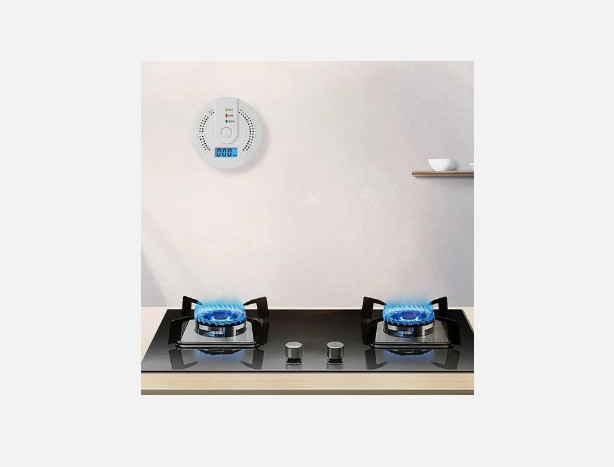 Carbon Monoxide Detector Warning Alarm Sensor LED Digital Battery Powered