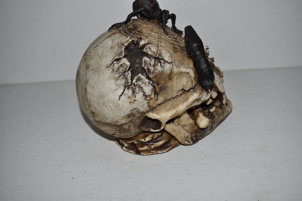 HALLOWEEN SKELETON HEAD WITH SPIDER, SNAKE, BONE - SPOOKY HALLOWEEN PROP (MSL28)