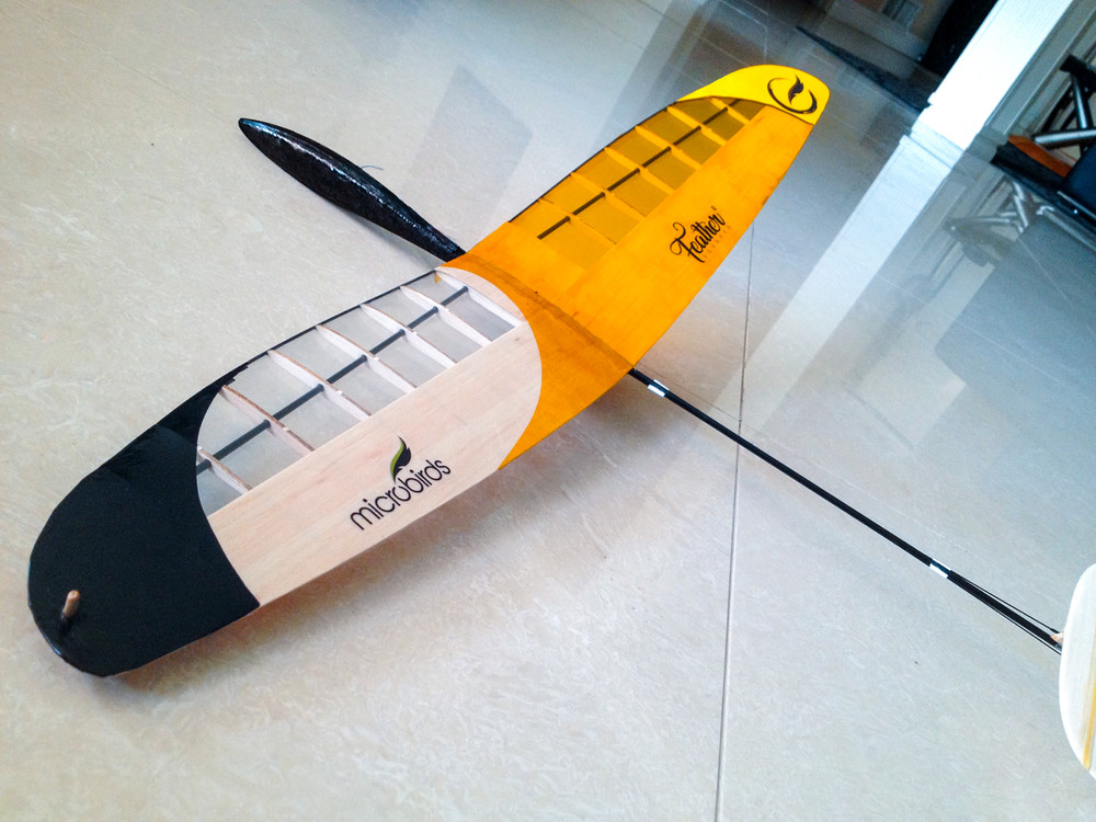 Feather DLG RC Glider Kit Ultralight Discsu launch Glider MicroBirds