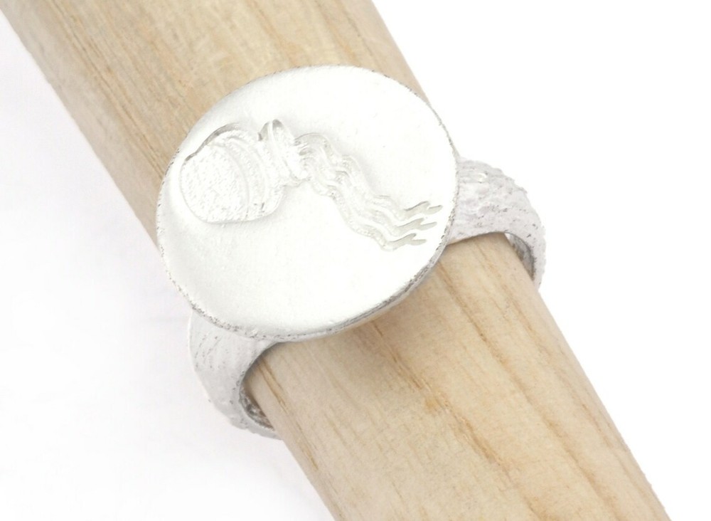 Bucket Aquarius Horoscope Bark Textured Band Adjustable Ring Shiny Silver 4866