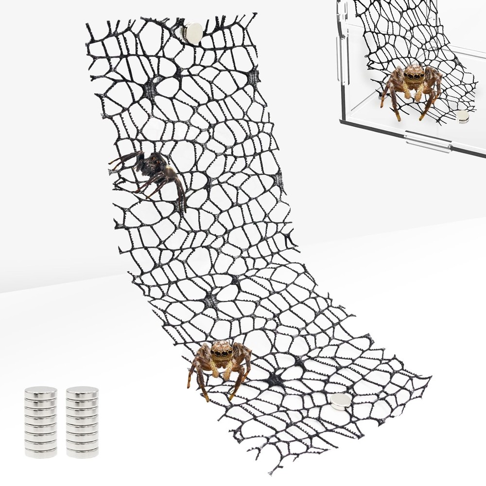 6 Pack Tarantula Enclosure Accessories Jumping Spider Habitat Accessories wit...