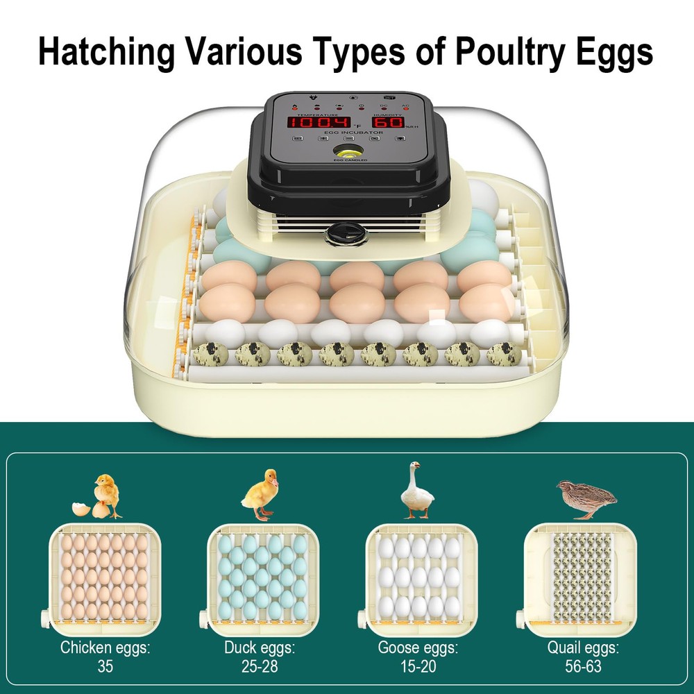 35 Egg Incubator with Automatic Egg Turning and Humidity Control Incubator fo...