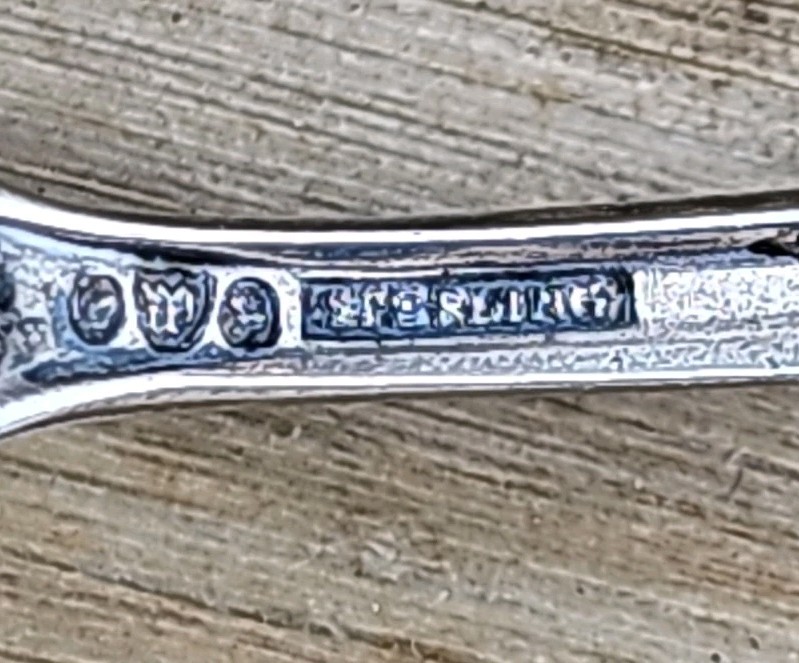Unique New Mexico Sterling Silver Spoon Cacti Double Eagle 17g