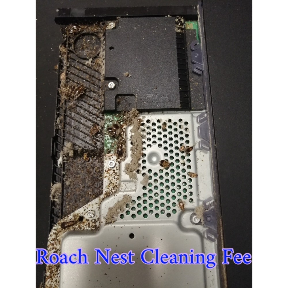 Roach Nest Cleaning Fee For Consoles