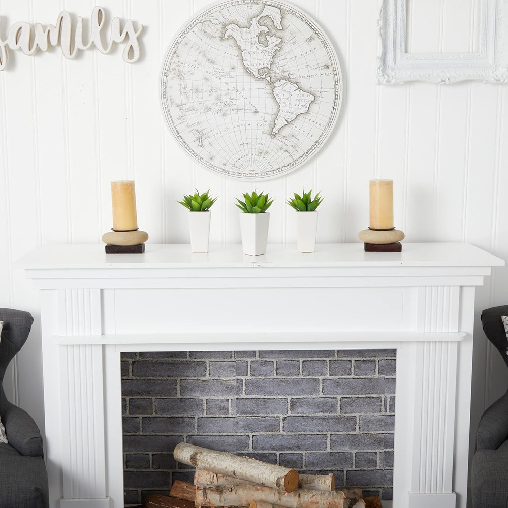 Mini Agave with Planter (Set of 3) White