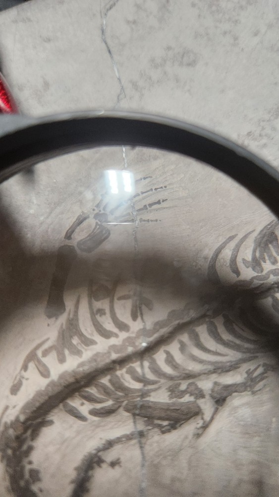 KEICHOUSAURUS FOSSIL