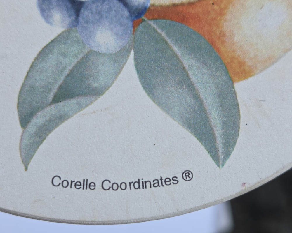 Corelle Coordinates ABUNDANCE Stoneware Drink Beverage Coasters 6Pc Set