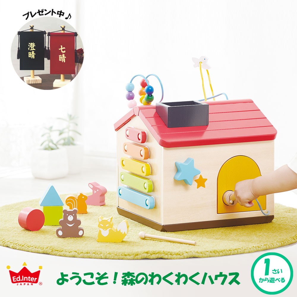 Forest Adventure House