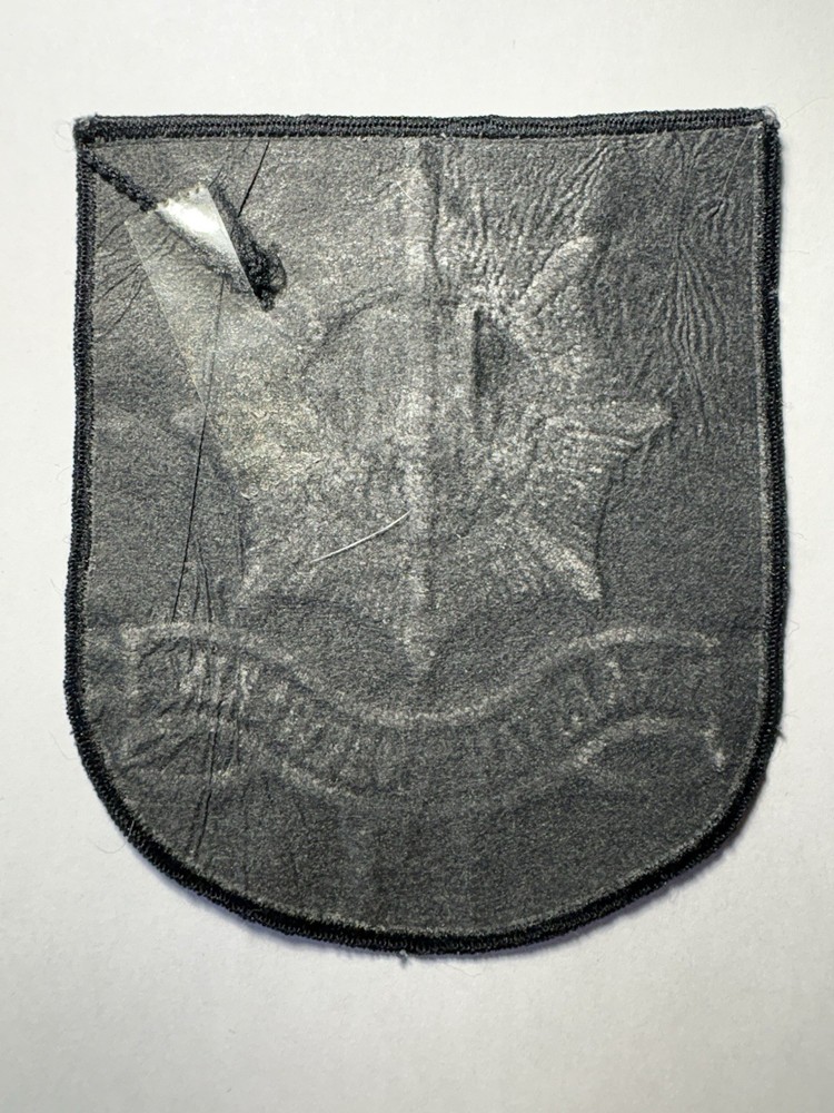 Arrestantenbewaking Netherlands Police Patch ~ RARE