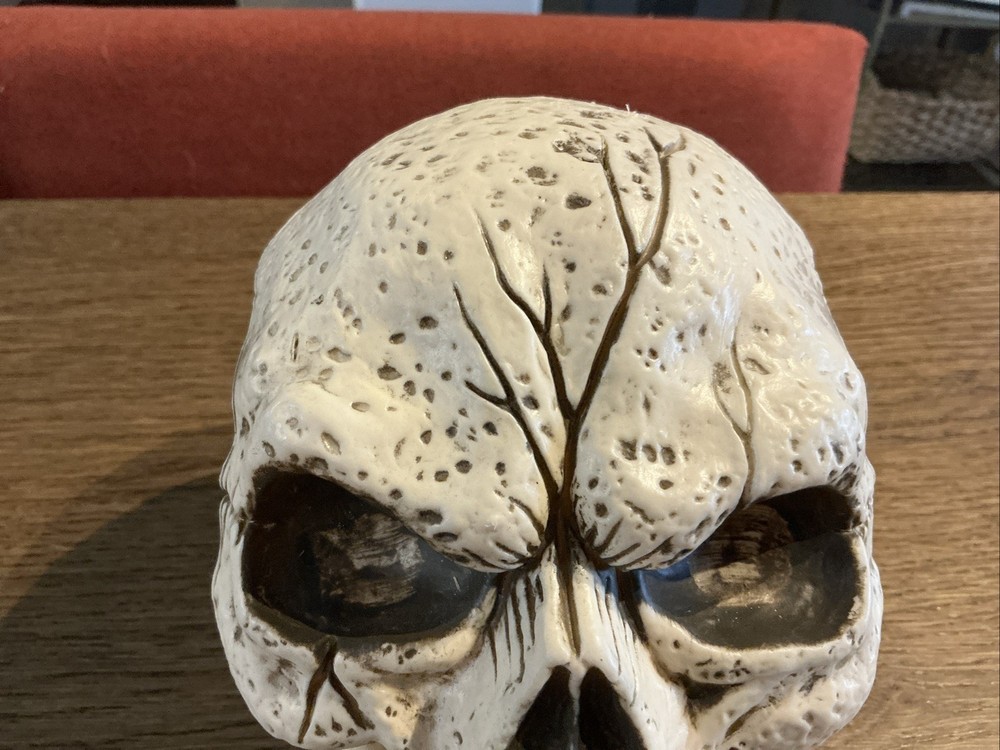 Skull Figurine Halloween Decor Rustic Look