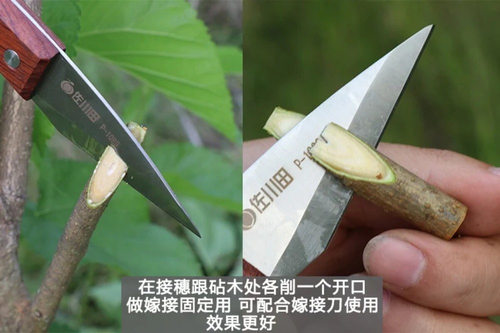 Grafting Machine J60 Multifunctional Grafting Tool for Fruit Tree Seedlings