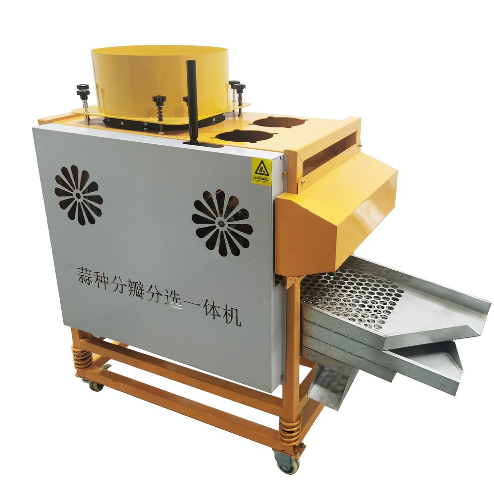 Auto Garlic Clove Separator Bulb Breaking Machine Seed Sorting & Dicing Peeler