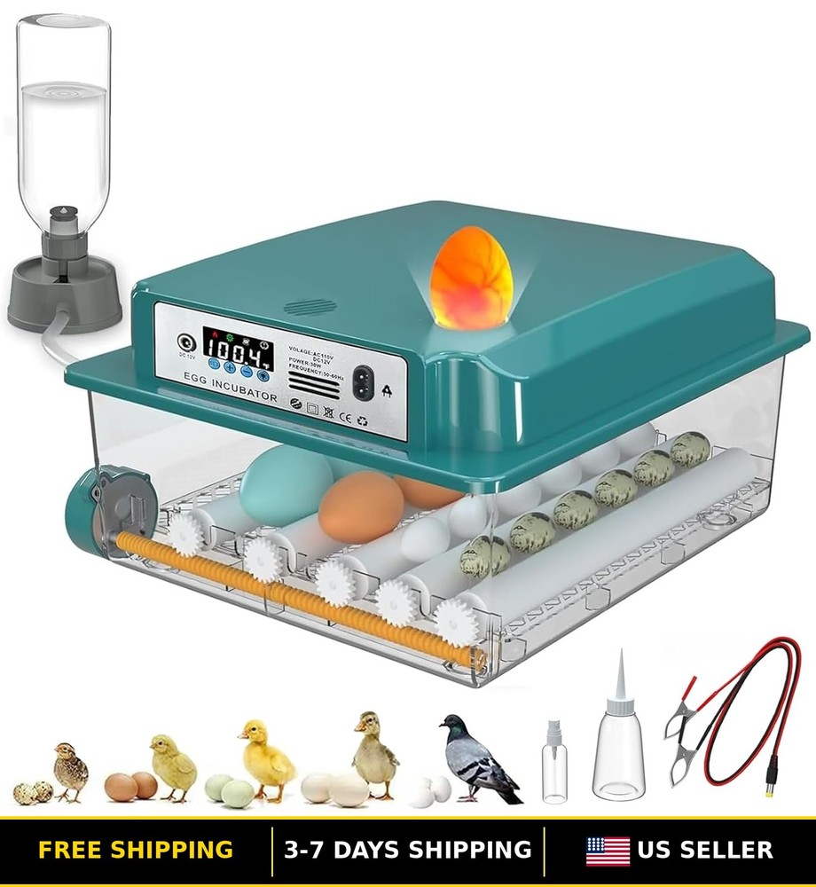 16 Egg Digital Incubator with Automatic Turning for Hatching Eggs