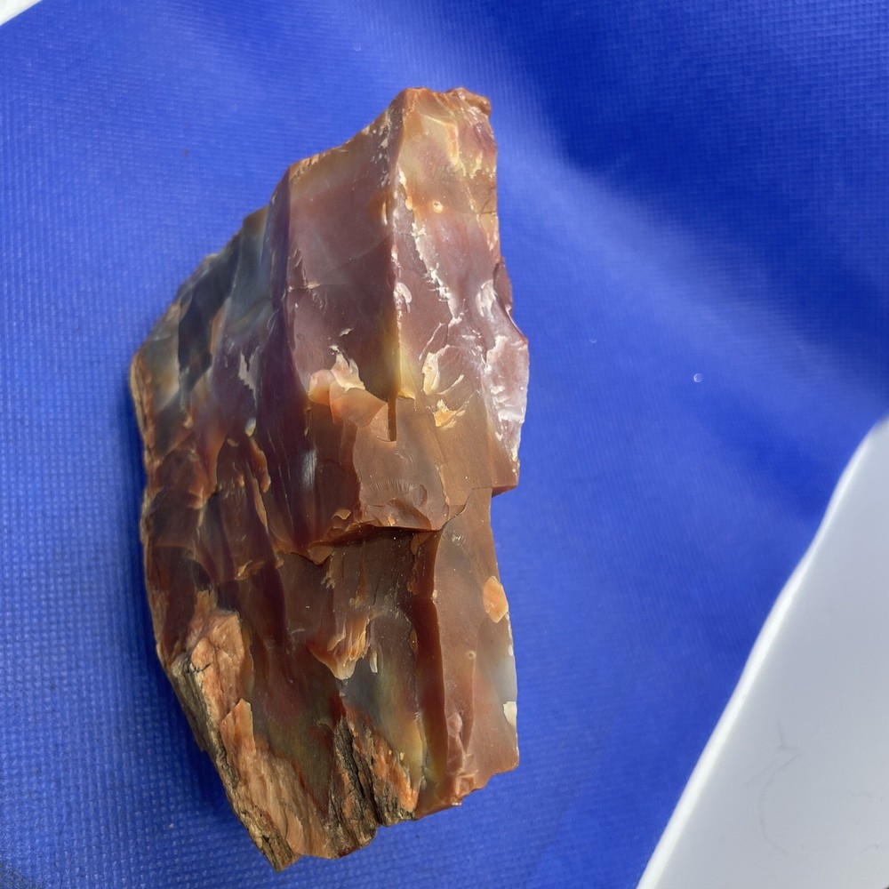 petrified wood slab