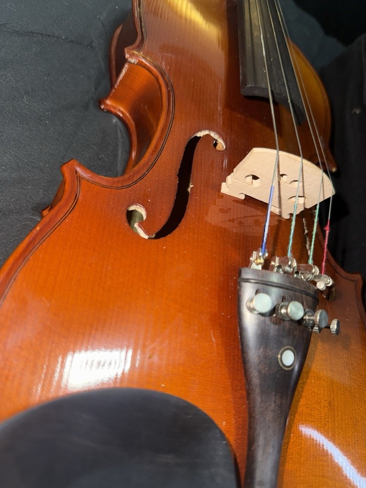 1038 14” Viola