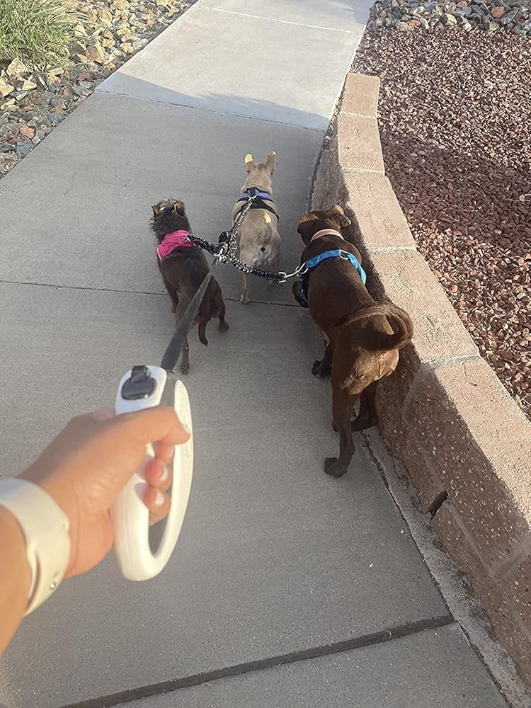 3 Way Dog Leash Coupler Heavy Duty No Pull Multiple Double Free