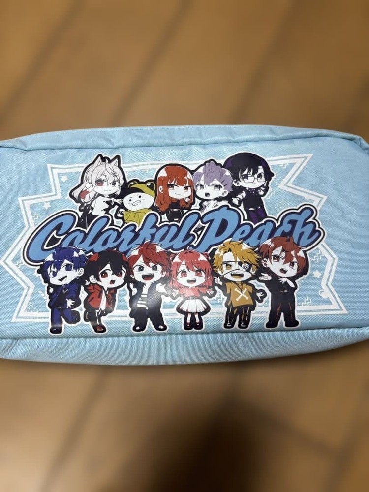 Colorful Gadget Pouch