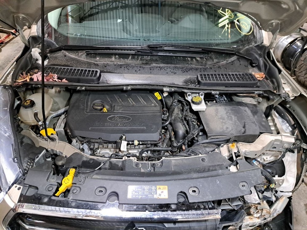 2017 Escape Amplifier Sku#4348878
