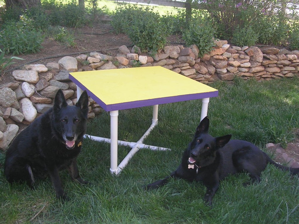 Dog Agility Equipment Pause Table (includes base & top)