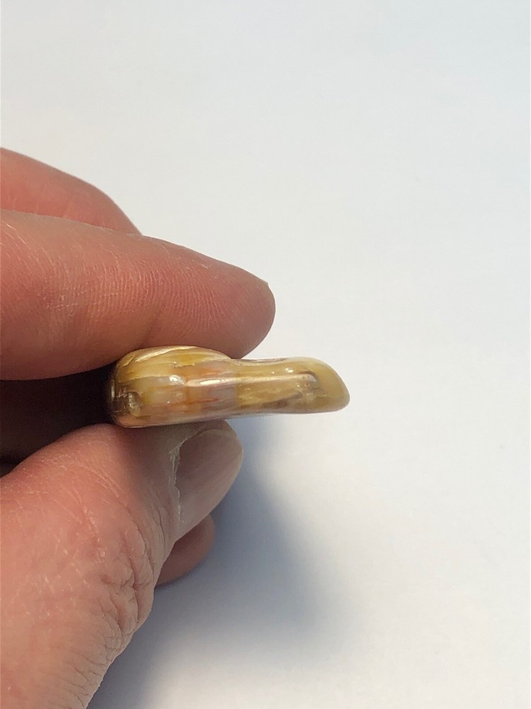 Yellow Petrified Wood. 18g