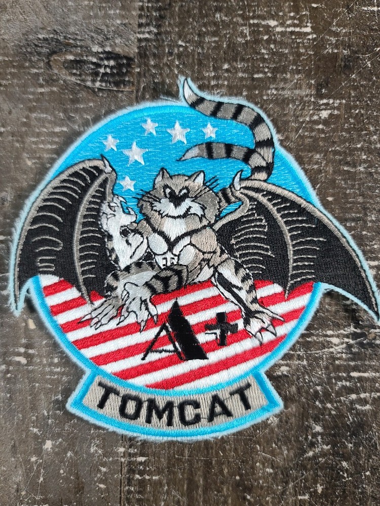 USN Tomcat Navy Flash / Patch (inv B645) Military Patch Memorabilia