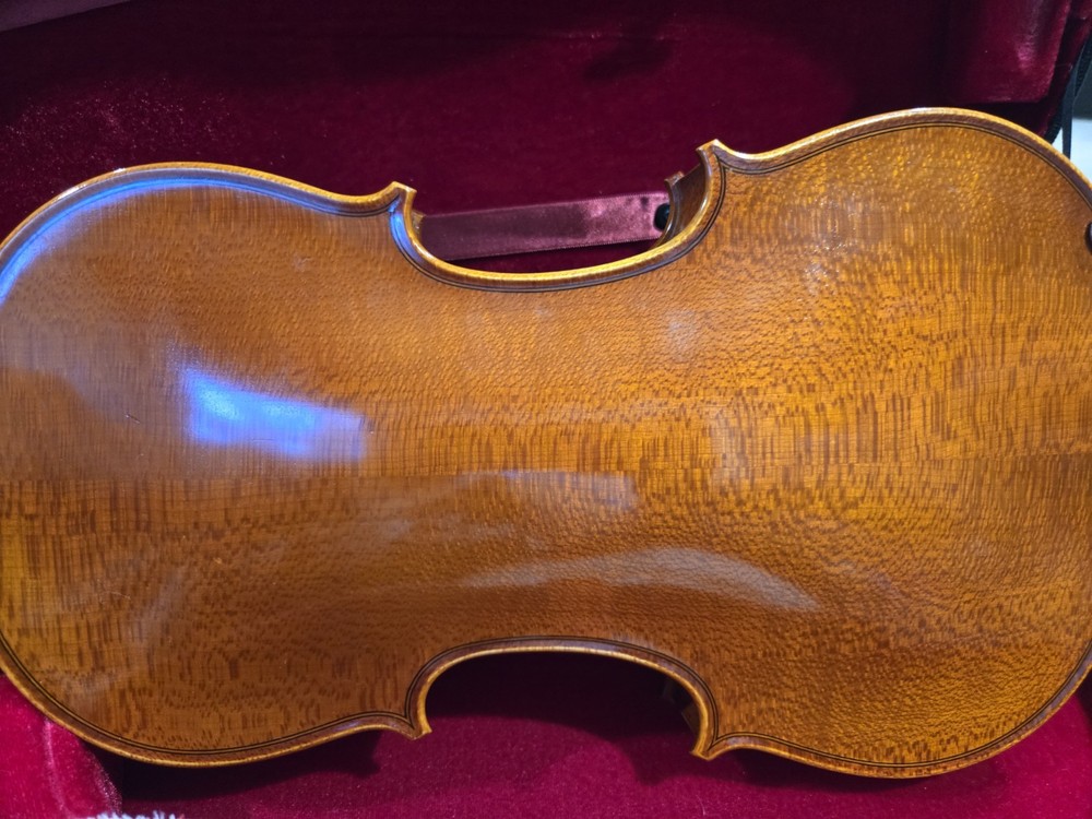 Viola Student Edition. - Needs New Strings