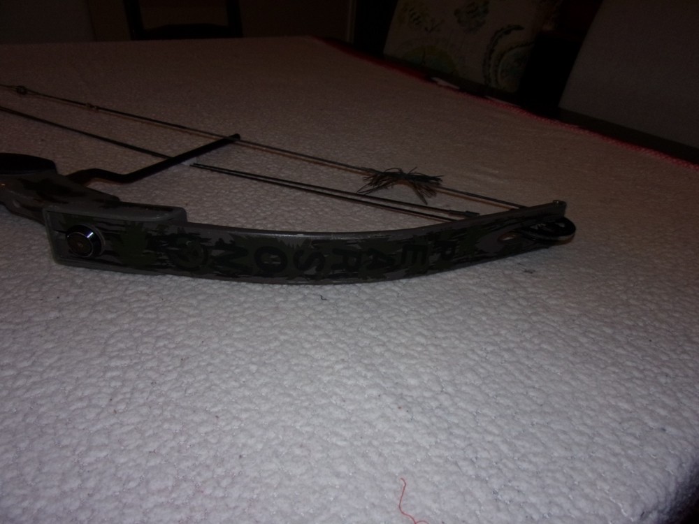 Ben Pearson Compound Bow