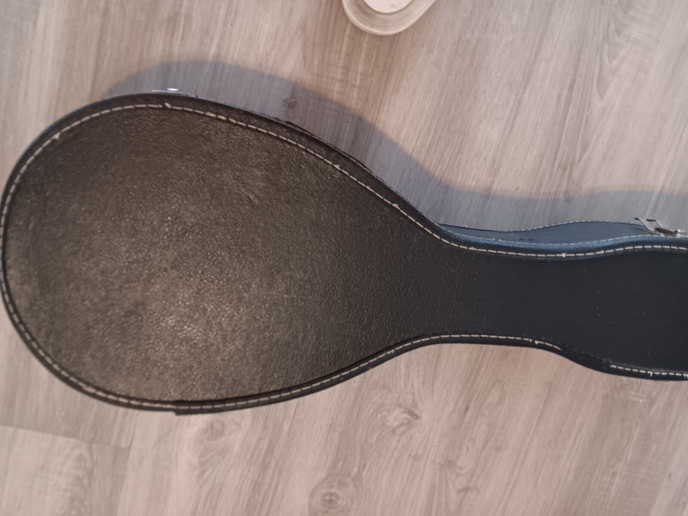 Lyle LM-200 Mandolin