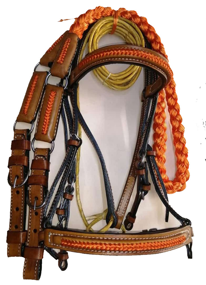 Premium Bridle set
