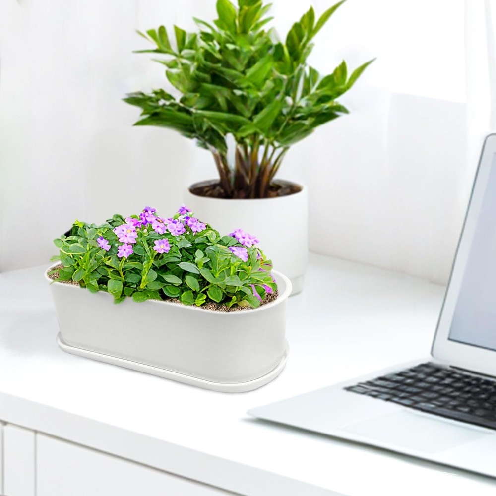Torfican 5 Set Window Herb Planter Box Rectangular,8.5x3.5 Inch 5, White