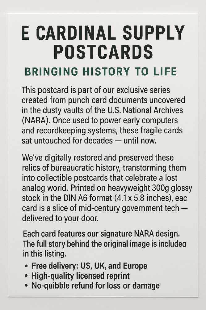 B24 445th Bomb Group England WWII US Air Force Plane