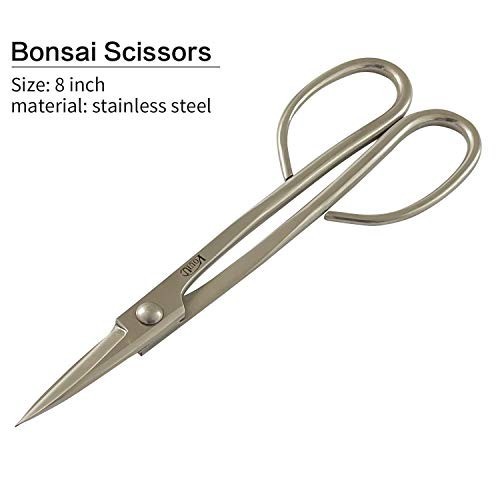 6-Piece Bonsai Tool Set - Knob Cutter, Trunk Splitter, Concave Cutter & More