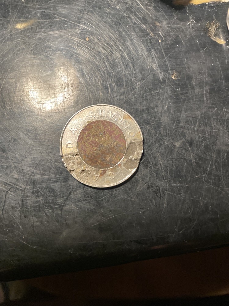 1996 Canada 2$ Coin,queen Elizabeth 2 & Polar Bear. Many Errors
