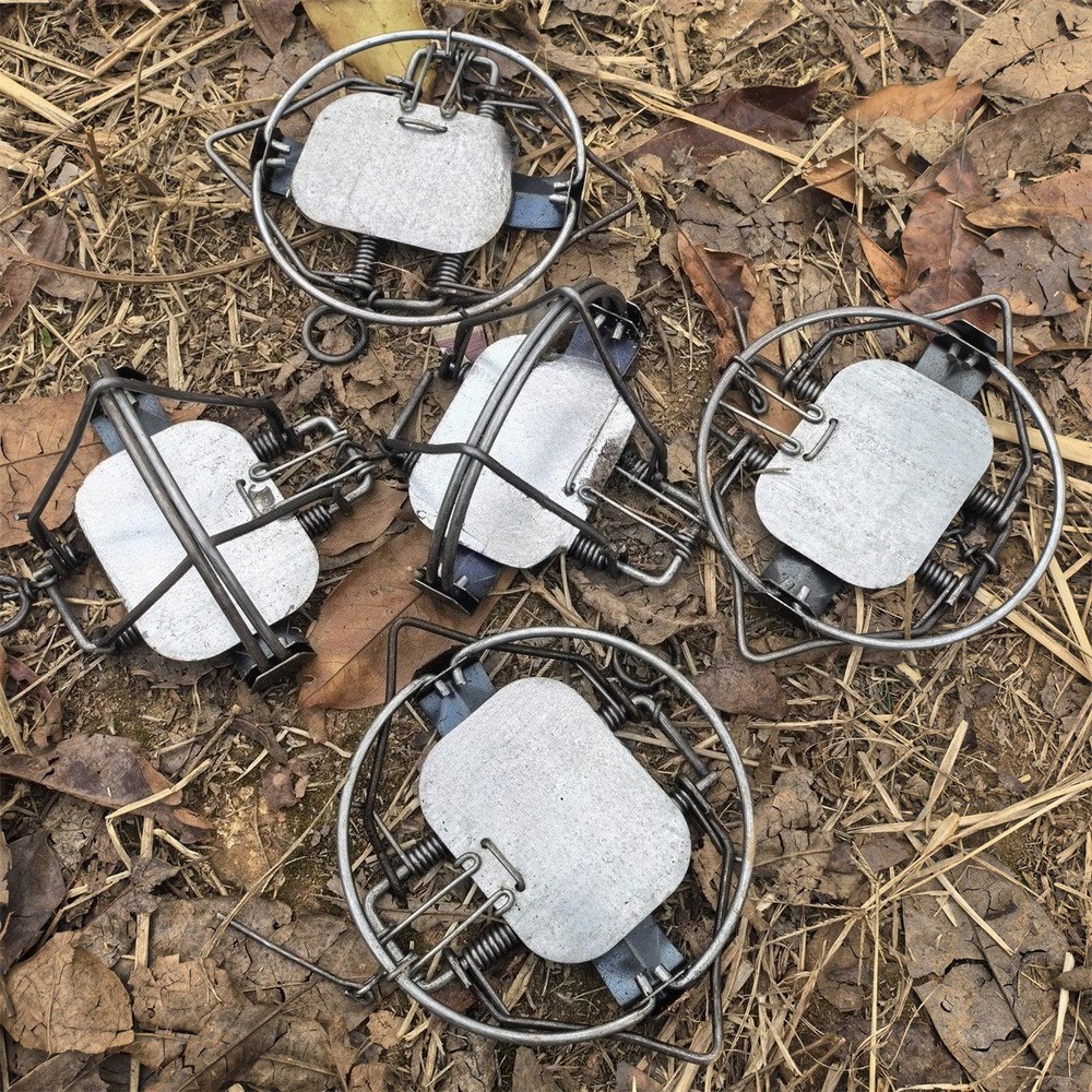 5 Pieces 5-1/10In / 13cm Coil Spring Nutria Mice Fox Gopher Mole Rat Mouse Trap