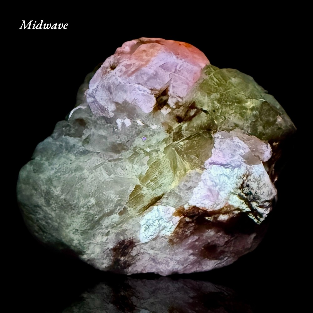99 Gr. Fluorescent Sharp Tenebrescent Hackmanite Crystal with Winchite On Matrix