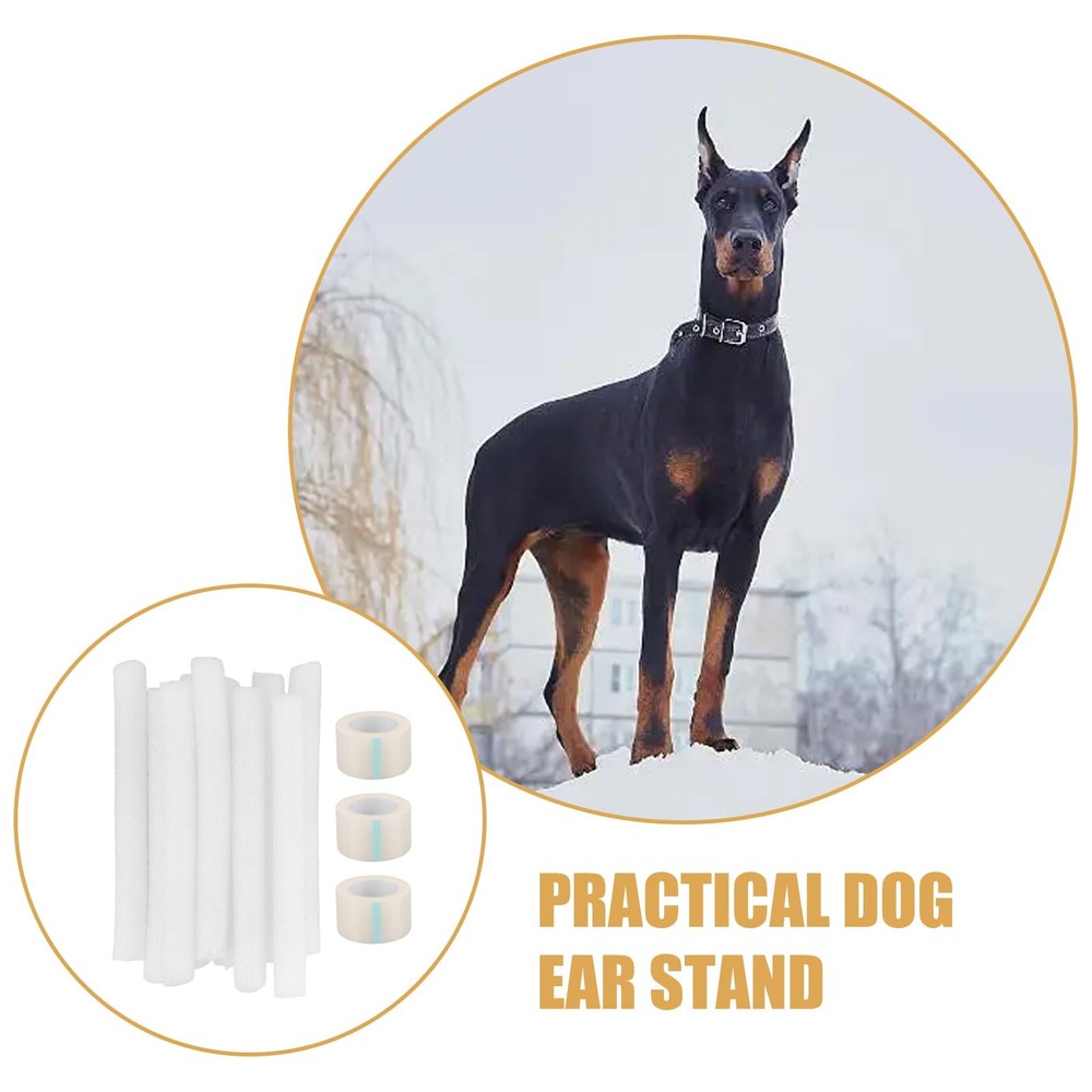 Dog Ear Posting Kit - 4 Pcs Support Tool for Standing Dog Ears