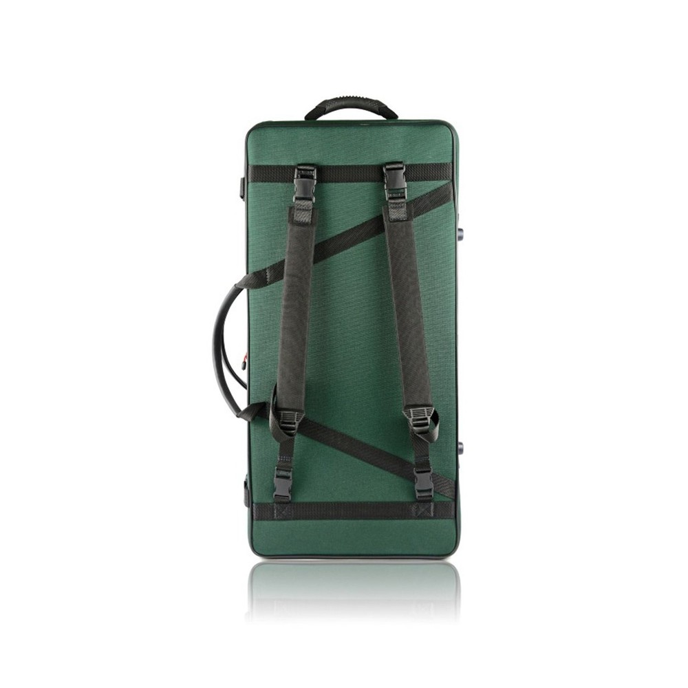 Bam classic double violin/viola case -green