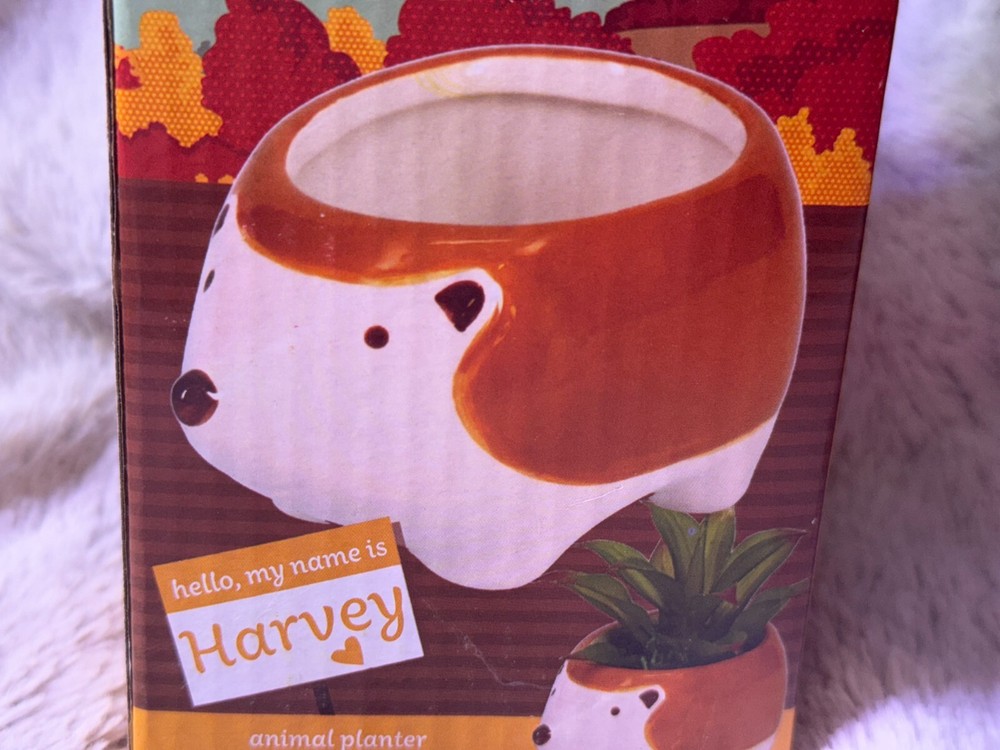 Harvey Hedgehog Animal Planter
