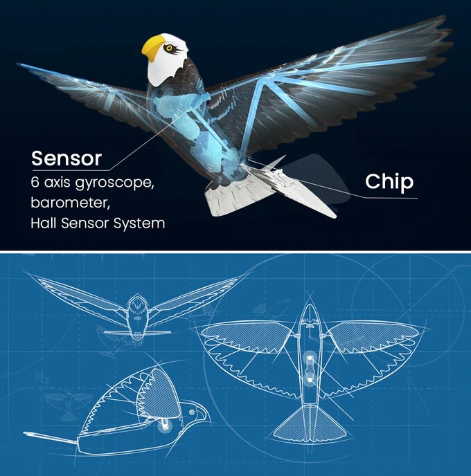 RC BIRD Eagle Orithopter FLAPPING WING 2.4GHZ RTF -NO BATTERY & CHARGE-