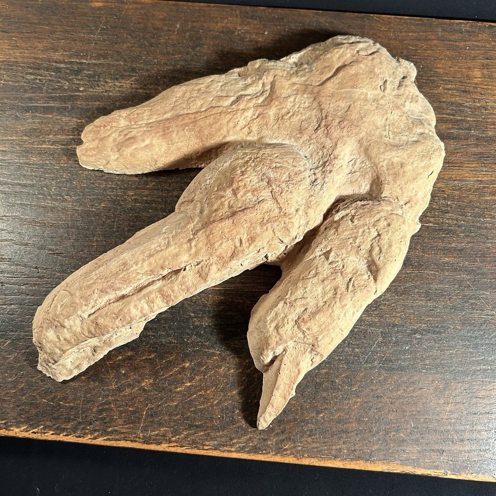 Vintage Dinosaur Footprint Plaster Cast Mold PRIORITY MAIL