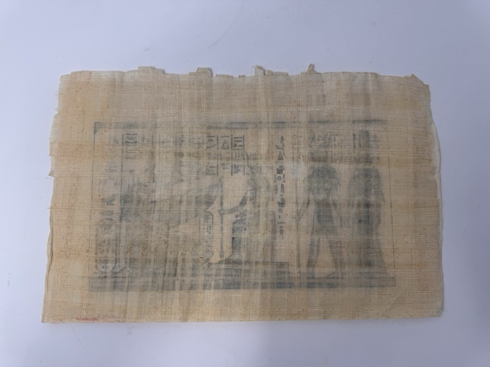 Authentic Hand-Painted Egyptian Papyrus Art 13x8 Unframed Pharaoh & Deities
