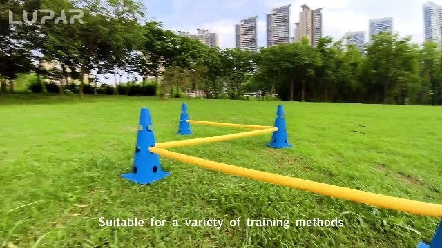 Backyard Dog Agility Course Set - Adjustable Hurdle & Cone Equipment for Trainin