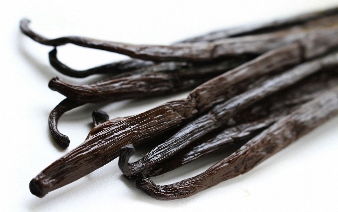 4 oz Candle Scent Oil-VANILLA BEAN